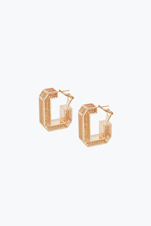 Small earrings